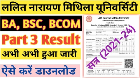 LNMU Part 3 Result 2024